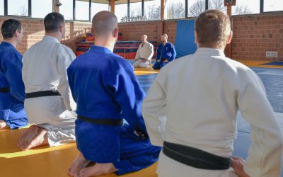 Pourquoi des kimonos bleus ?